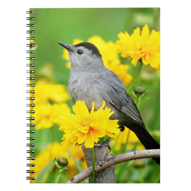 Grått Catbird på trästängsel Anteckningsbok (Framsidan)