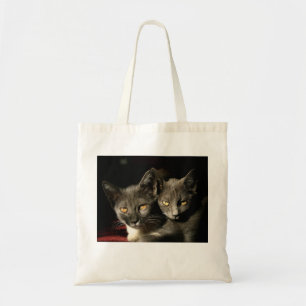 Grått Cats Photo Budget Tote Tygkasse