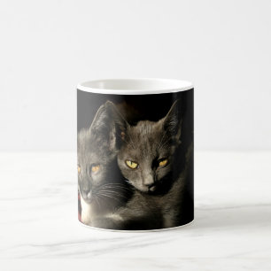 Grått Cats Photo Mugg
