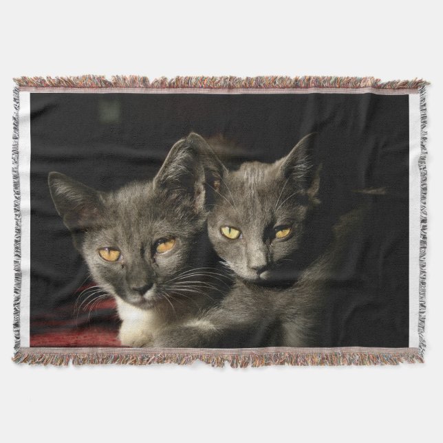 Grått Cats Photo Throw Blanket Filt (Framsidan)