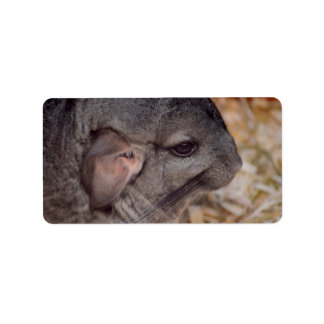 grått chinchilla sidokusdjur adressetikett