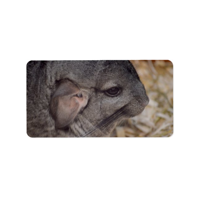 grått chinchilla sidokusdjur adressetikett (Framsidan)