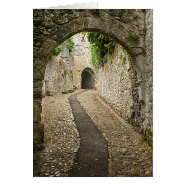 Grått Cobblestone street, Frankrike Hälsningskort (Framsidan)