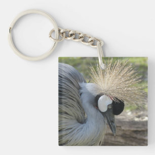 Grått Crowned Crane