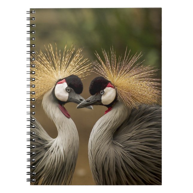 Grått Crowned Crane Anteckningsbok Med Spiral (Framsidan)