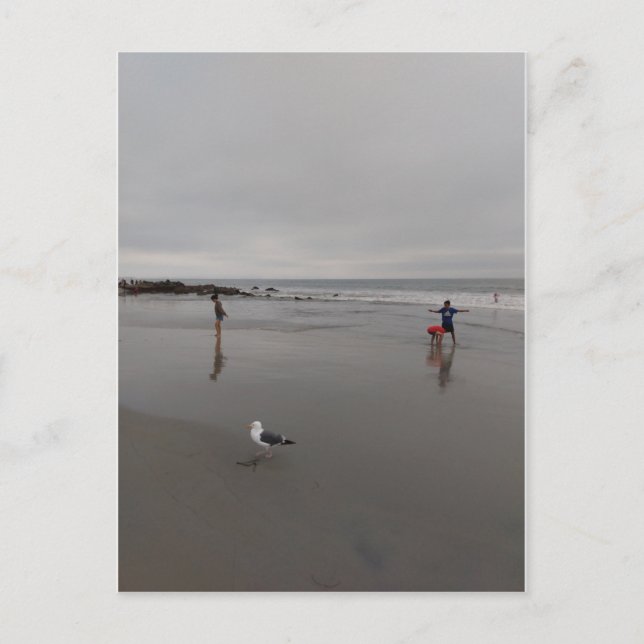 Grått dag på stranden vykort (Framsida)