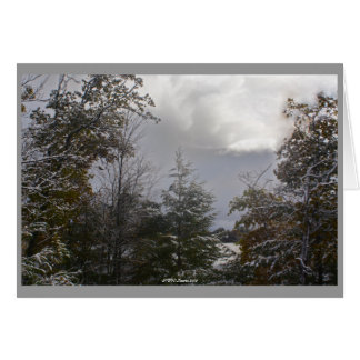 Grått-dagskort Hälsningskort