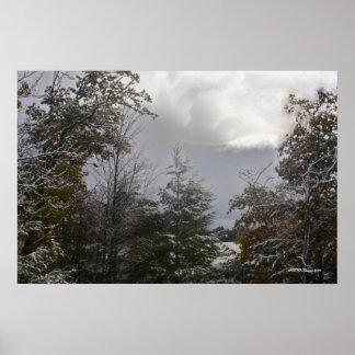 Grått Day Beauty Poster