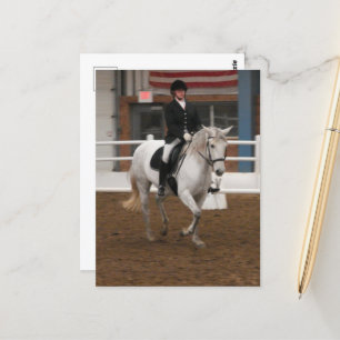 Grått Dressage Horse Vykort