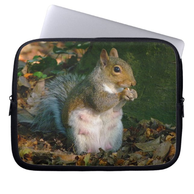 Grått-ekorre 02 laptop sleeve (Framsidan)
