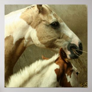 Grått Eventierande Horse Poster