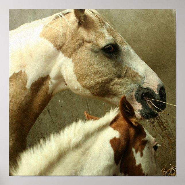 Grått Eventierande Horse Poster (Framsidan)