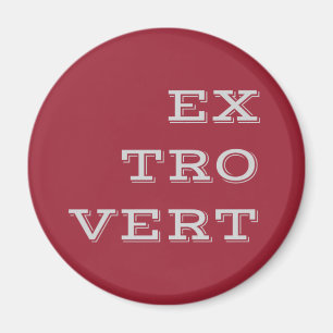 Grått Extrovert Magnet