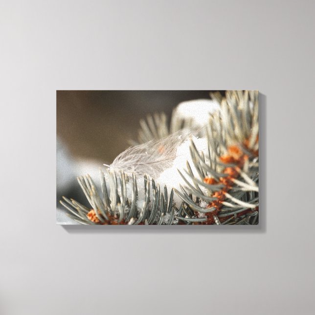 Grått Feather in Snowy Evergreen Gren Canvastryck (Framsida)