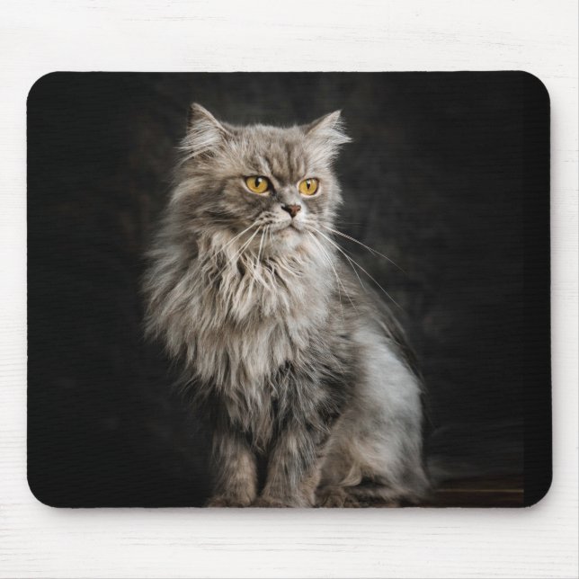 Grått Fluffy Cat Musmatta (Framsidan)