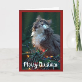 Grått Fluffy Cat och jul Ljus Helgkort