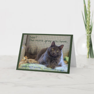 Grått Fluffy Cat på stol Kort