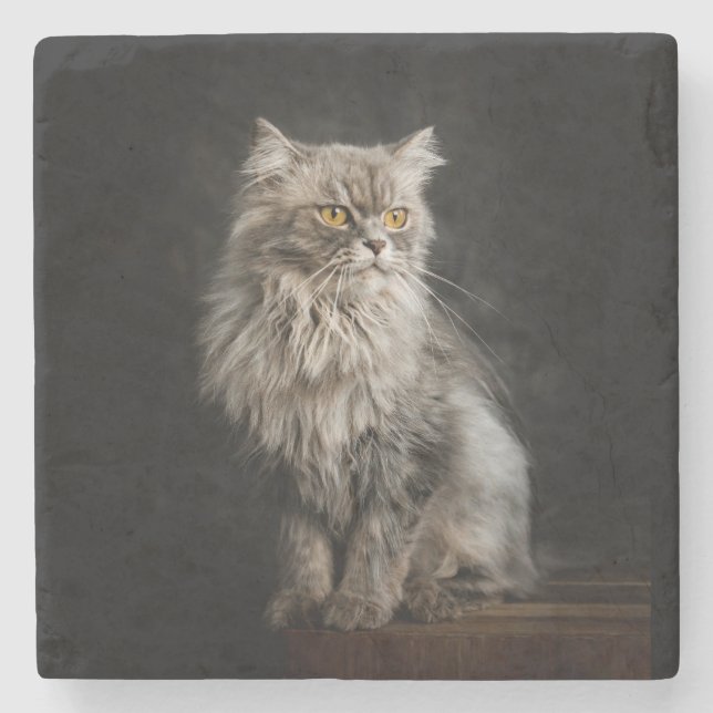 Grått Fluffy Cat Stenunderlägg (Framsidan)