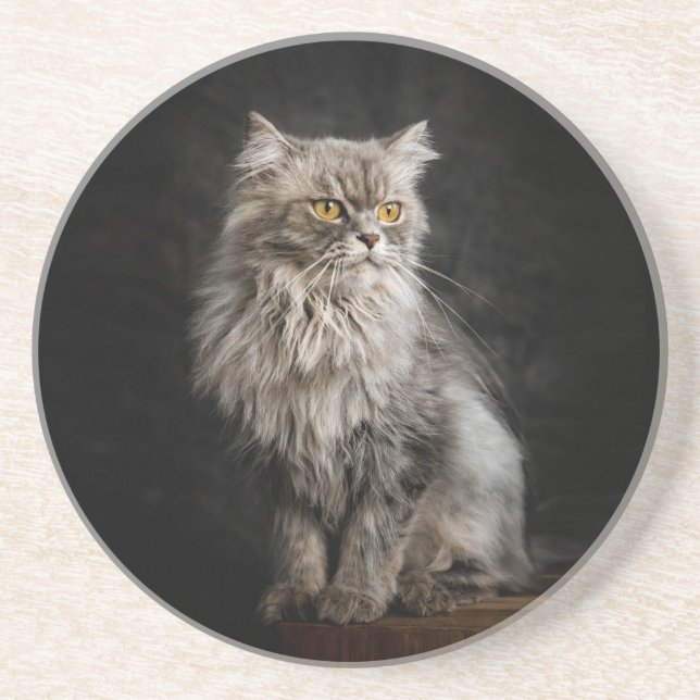 Grått Fluffy Cat Underlägg (Framsidan)
