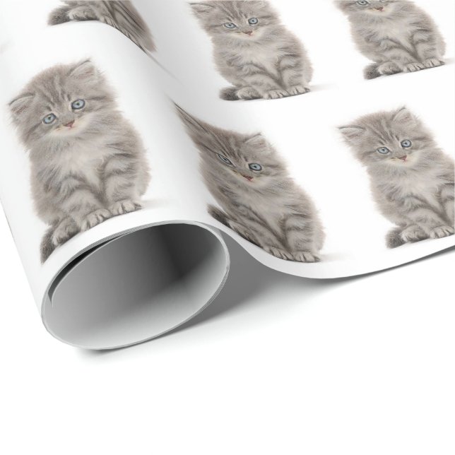 Grått Fluffy Kitten på vit Presentpapper (Rullad Hörn)