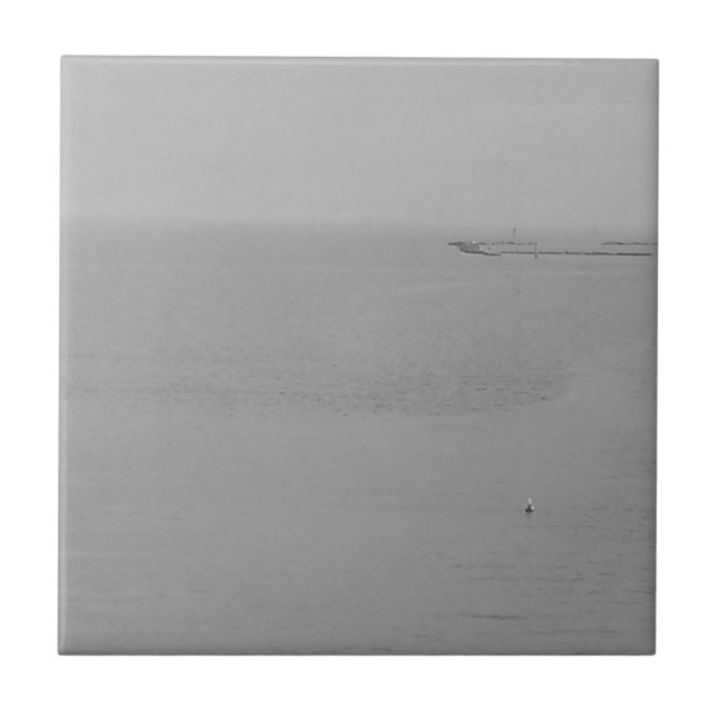Grått Foggy Vatten med Fiskmås Kakelplatta (Framsidan)