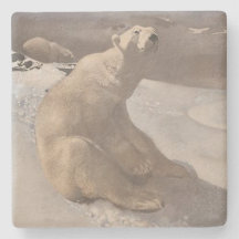 grått för polar med vintern snö vintage, 