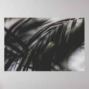 GRÅTT FOTO AV VÄXTLÖV POSTER
