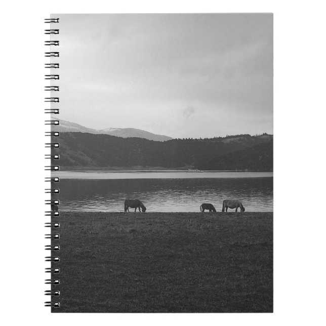  GRÅTT-FOTOGRAFI HOS DJUR ANTECKNINGSBOK (Framsidan)