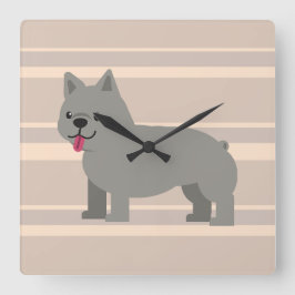 Grått Fransk Bulldog, Beige Stripe Fyrkantig Klocka