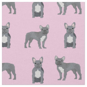 Grått Fransk Bulldog på Rosa Tyg