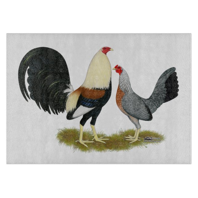 Grått Game Fowl Pair (Framsidan)