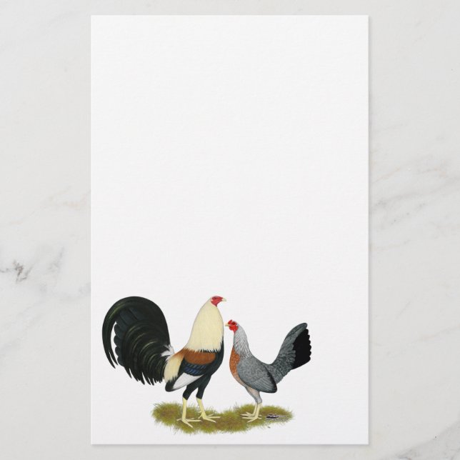 Grått Game Fowl Pair (Framsida)