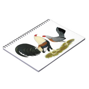 Grått Game Fowl Pair Anteckningsbok Med Spiral