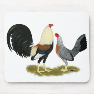 Grått Game Fowl Pair Musmatta