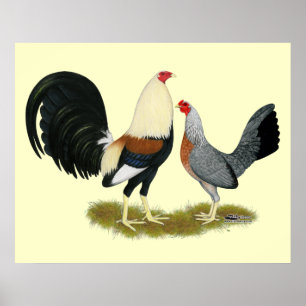 Grått Game Fowl Pair Poster