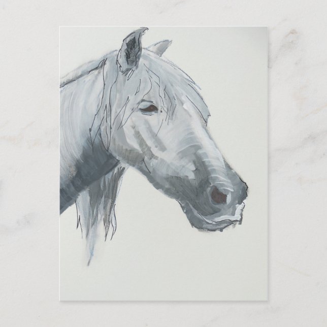 Grått Gaze Vykort (Framsida)