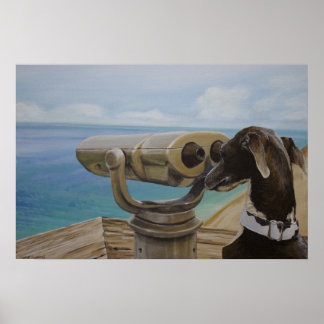 Grått Gazing - Italienska Greyhound Painting Poster