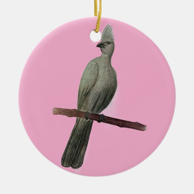 Grått-go-away-fågelblyertspenna teckning julgransprydnad keramik (Framsidan)