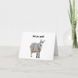 Grått Goat Farm Animal, Cute Nature Photography Kort