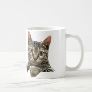 Grått görad randig tabby kattmugg kaffemugg