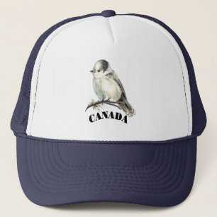Grått Grått Jay Bird Canada's National Birder Keps