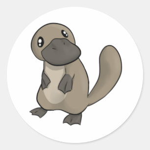Grått/Grått Tecknad Platypus Runt Klistermärke