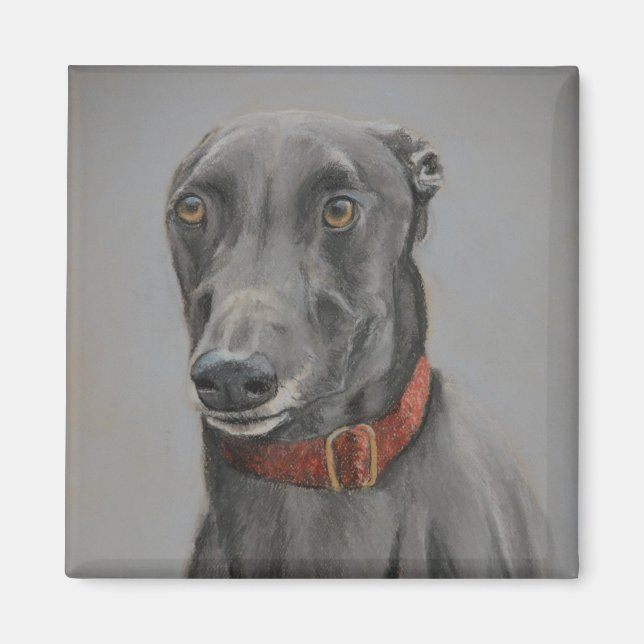 Grått Greyhound Hund Art Magnet (Framsidan)