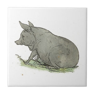 Grått Gris Piggy Children's Bok Illustration Kakelplatta