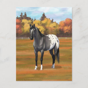 Grått Grulla Appaloosa Grullo Quarter Horse Stalli Vykort