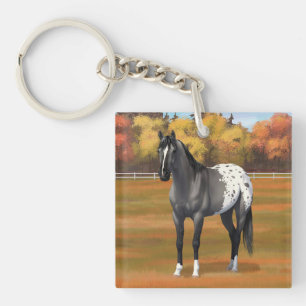 Grått Grulla Appaloosa Quarter Horse Stallion