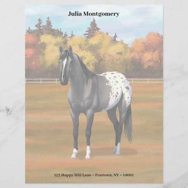 Grått Grulla Appaloosa Quarter Horse Stallion Brevhuvud (Framsida)