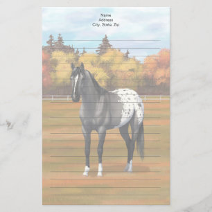 Grått Grulla Appaloosa Quarter Horse Stallion Brevpapper