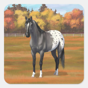 Grått Grulla Appaloosa Quarter Horse Stallion Fyrkantigt Klistermärke