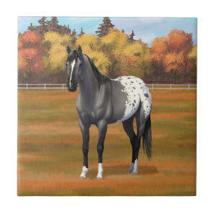 Grått Grulla Appaloosa Quarter Horse Stallion Kakelplatta